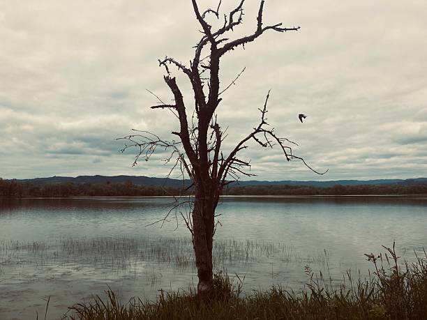 Scenery at Peace Valley Park, Bucks County, Pennsylvania, USA