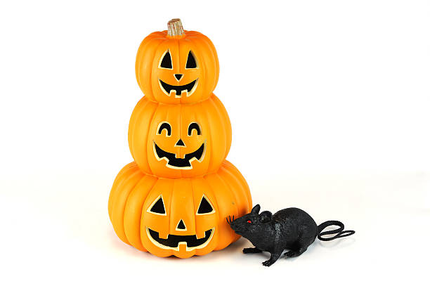 Halloween pumpkin lantern isolated on white background