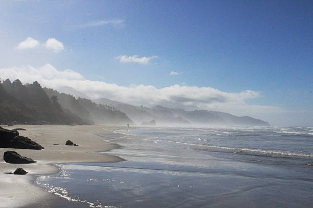 istock North American beach in the fall 2247721463