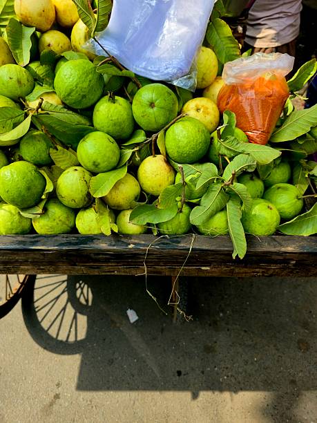 istock Fresh Green and Yellow Guavas with Leaves on Display 2247722943