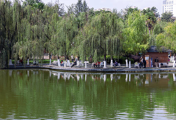 A solitary fisherman casts his line into one of Hangzhou's urban waterways.