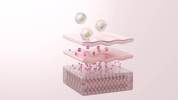 istock Encapsulated Collagen Peptide and Exosome Releasing PDRN Molecules into Skin Layers, 3D Illustration 2247731366