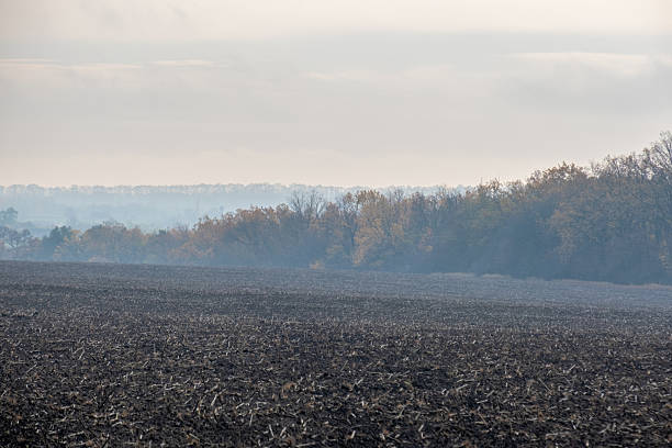 Wide horizontal landscape of a dark, freshly plowed field in the foreground. A hazy, muted forest line stands against an overcast sky, symbolizing the transition into late autumn and harvest season.