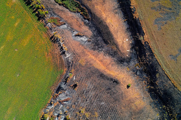 istock Abstract Aerial View of Ecological Damage. Scorched Earth, Fire Aftermath, and Agricultural Contrast. 2247731930