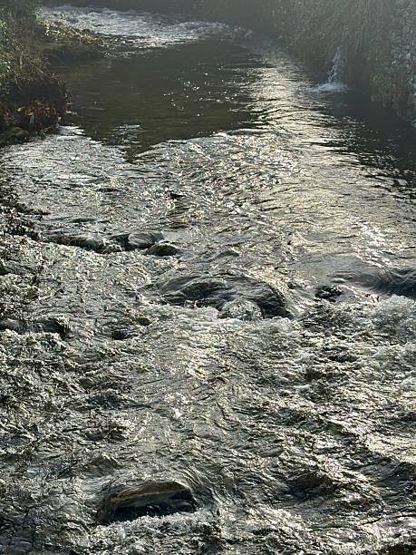 A peaceful stream flows gently through a stone-lined channel. The water ripples over the rocks, reflecting the sunlight. The scene captures a serene natural landscape, surrounded by lush greenery.