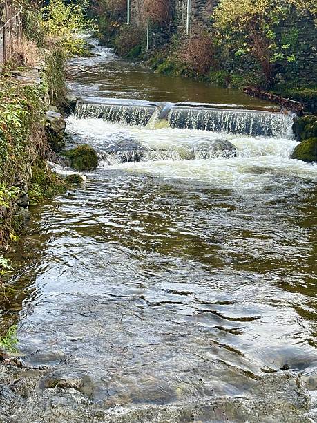 istock A peaceful stream flows gently through a stone-lined channel. The water ripples over the rocks, reflecting the sunlight. The scene captures a serene natural landscape, surrounded by lush greenery. 2247736459