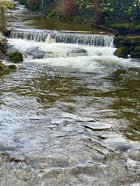 istock A peaceful stream flows gently through a stone-lined channel. The water ripples over the rocks, reflecting the sunlight. The scene captures a serene natural landscape, surrounded by lush greenery. 2247736476