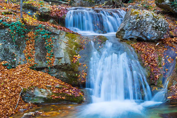 waterfall on the river flow through mountain canyon covered by red dry leaves, autumn mountain river scene