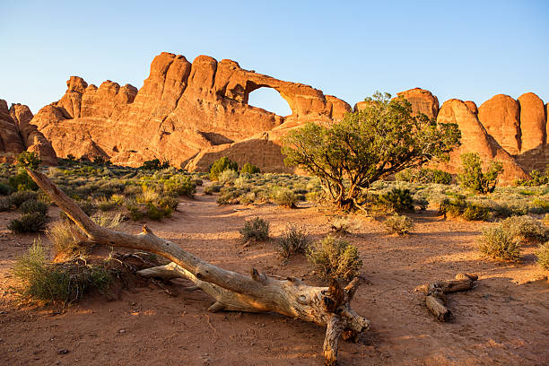 istock Skyline Arch, Arches National Park 2247740835