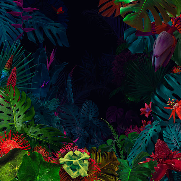 istock Surreal night jungle with flowers 2247743801