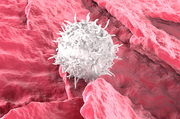 istock T cell drug for Atopic dermatitis (eczema) - closeup view 3d illustration 2247744429