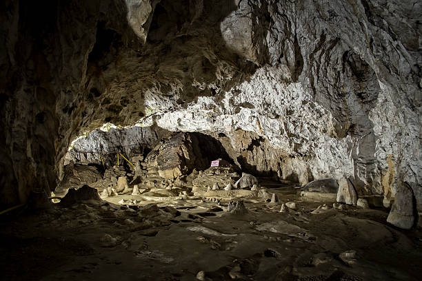 istock Interior of Polovragi cave, Romania 2247745253