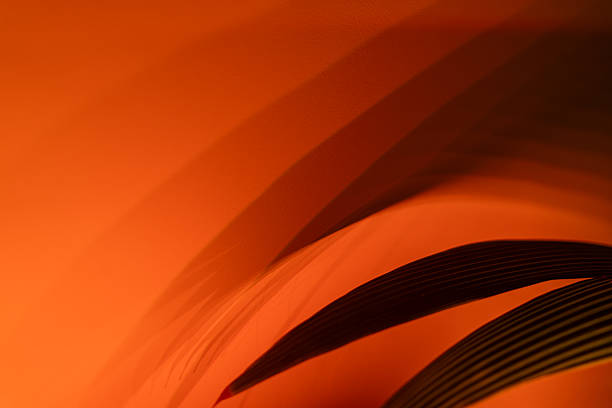 Long narrow palm leaves with fine parallel veins curving smoothly, lit by intense warm orange-red light creating strong dark shadows and glowing edges. Multiple fronds overlap in layers against a soft blurred warm orange backdrop.