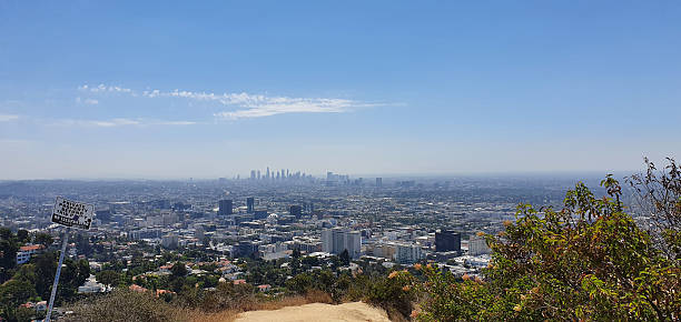 istock downtown Los Angeles view from hiking trail 2247750820