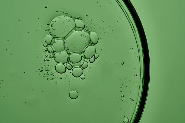 istock Shower gel with bubbles in a petri dish on a green background. 2247750897
