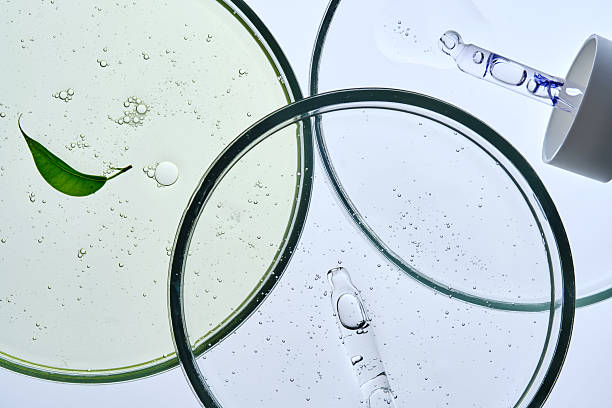 istock Three petri dishes with different serums and pipettes. 2247751186