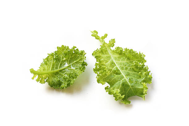 istock Fresh curly green kale leaves on white background. 2247756432