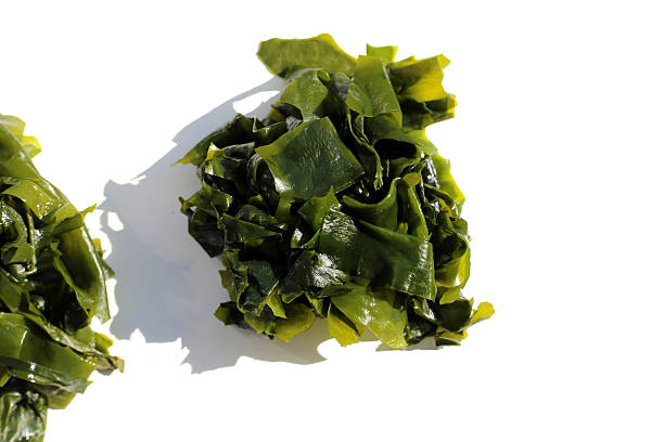 istock Pile of fresh wakame seaweed. 2247757505