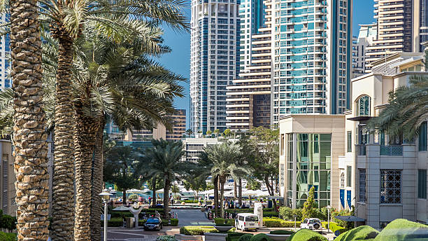 istock Fountain and palms timelapse at the Marina walk during day time. Dubai, UAE 2247759078