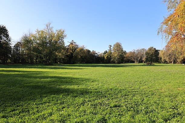 istock Sunny autumn day in Bad Krotzingen in the Black Forest 2247759234