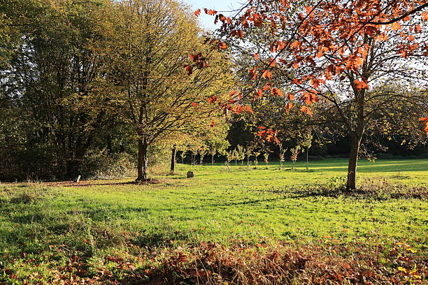 istock Sunny autumn day in Bad Krotzingen in the Black Forest 2247759421