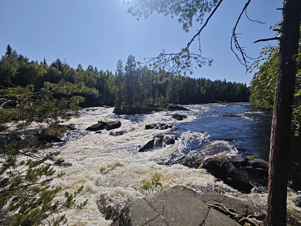 istock Panoramic view of turbulent river with rapids small elevation drops wild nature hiking kayaking 2247759448