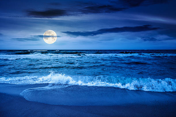 istock black sea waves crashing sandy beach at night 2247763345