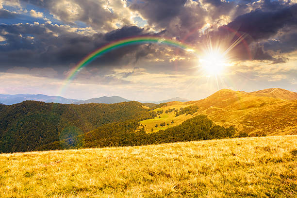 istock landscape with grassy meadow at sunset 2247763373
