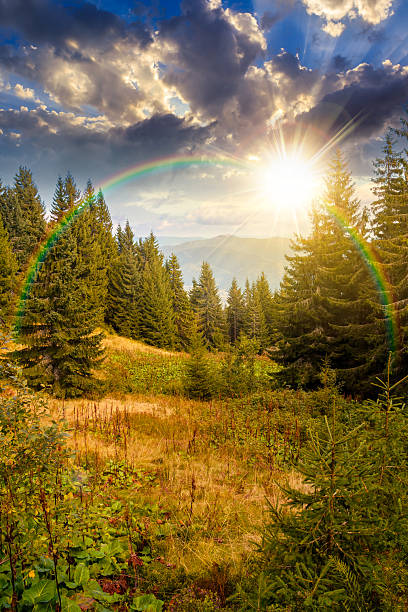 istock mountain landscape with evergreen forest in autumn at sunset 2247763380
