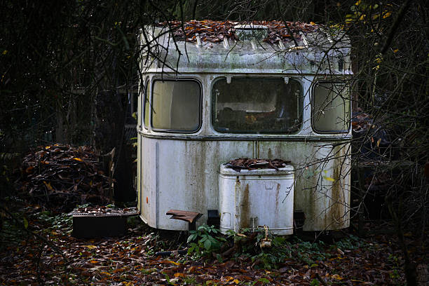 Old abandoned caravan covered with leaves and algae on a dark November day in the forest, concept for transience, selected focus, narrow depth of field