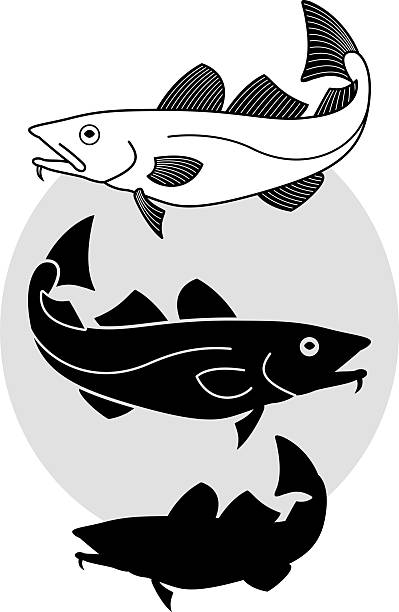 Codfish vector art illustration