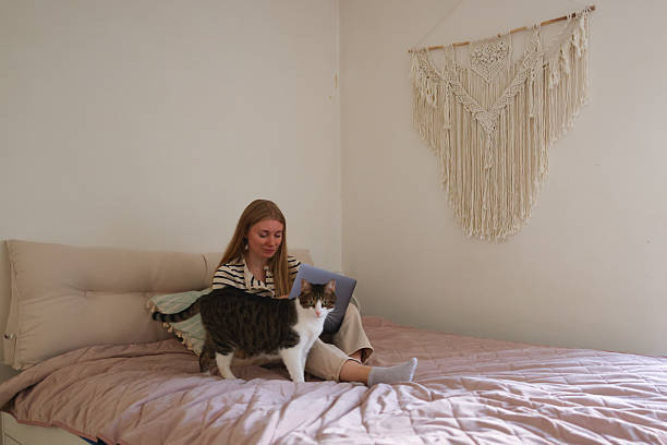 istock Domestic comfort woman using laptop on bed while spending time with her cat. 2247777185