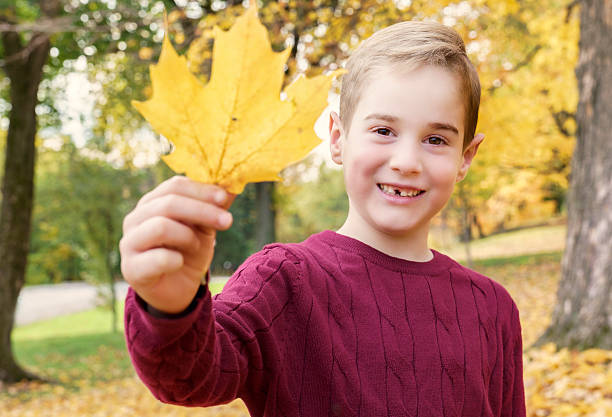 A happy child playing outdoors in autumn park holding leafs