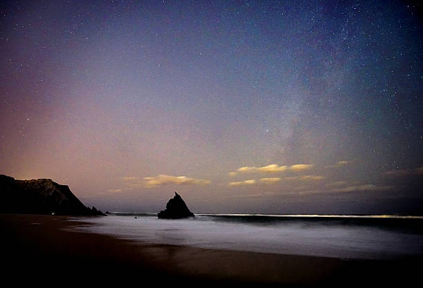 istock Between the Sea and the Stars, infinity, cosmos, night, moonlight, sky, plants 2247781508