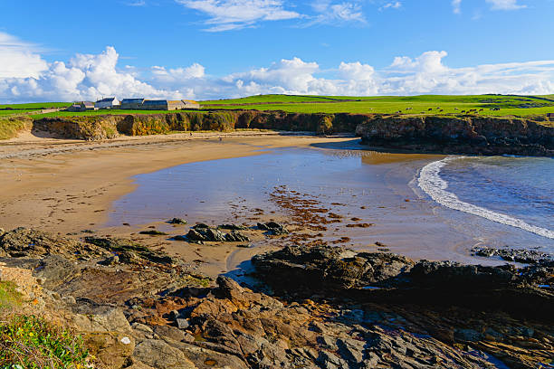 A bright autumn morning on the cliffs above Porth Trecastell or Cable Bay, Anglesey, at low tide.