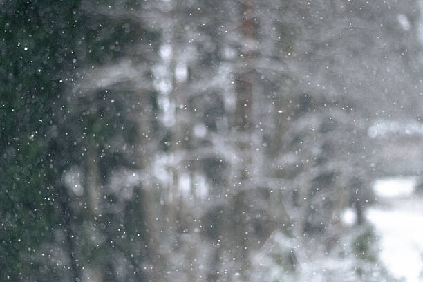 istock Soft snowfall in misty winter woodland 2247785656