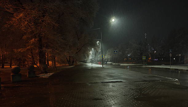 istock Night park in autumn snow 2247788180