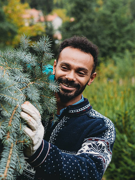istock Happy man carrying christmas tree at christmas tree farm 2247789230