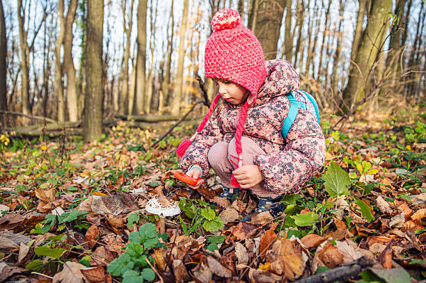 A young child in a colorful hat crouches down to examine mushrooms on the forest floor, embodying curiosity and the spirit of exploration in nature.