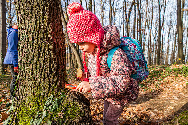 A young child wearing a pink knitted hat and backpack examines a tree trunk closely with a magnifying glass, surrounded by autumn leaves in a serene forest setting.