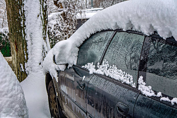 istock A car covered in snow next to a tree 2247790432