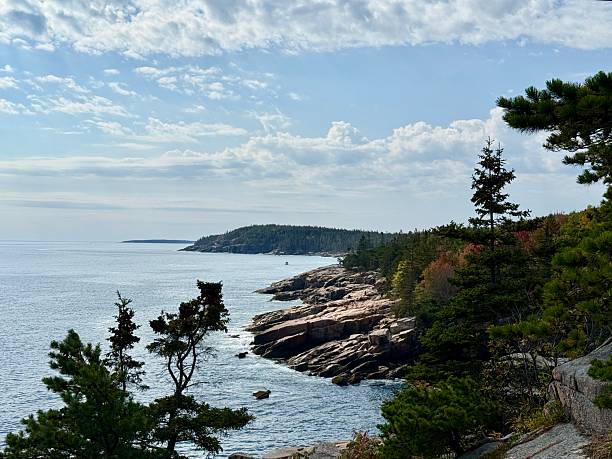 istock Ocean Path Trail - Acadia National Park - Maine 2247791397