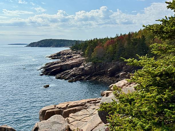 istock Ocean Path Trail - Acadia National Park - Maine 2247791409