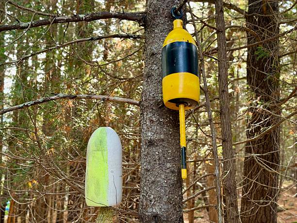 New England lobster buoys