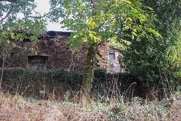 istock Ruined country house under soft light 2247791674