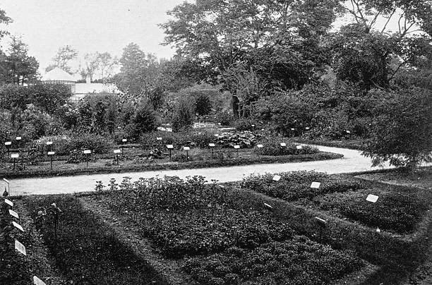 istock Harvard University and surroundings: Harvard Botanic Garden 2247791712