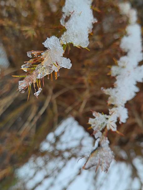 istock Icicles of various shapes. 2247796729