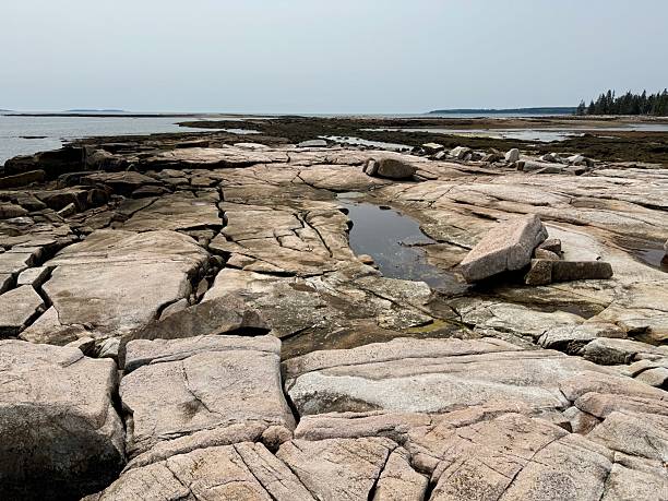 istock Ship Harbor Trail - Acadia National Park 2247798774