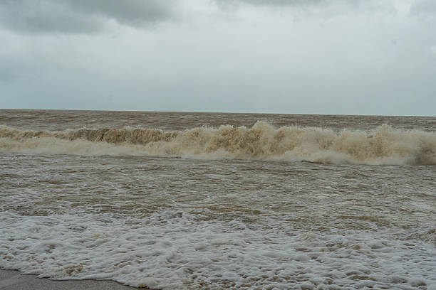 Ocean shore after storm and flood.