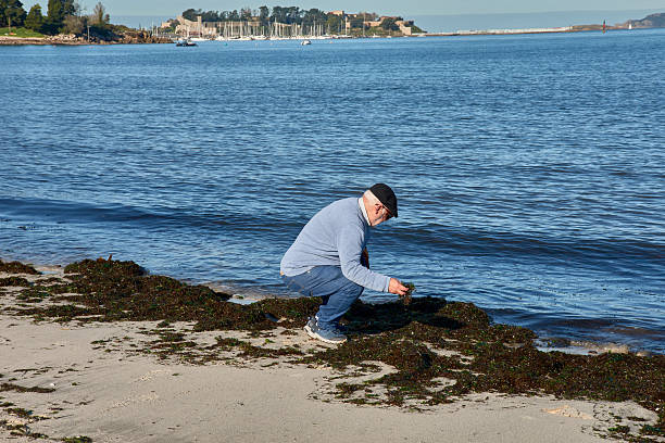 istock Elderly man walking by the sea on a sunny day in a relaxed, natural setting 2247804053